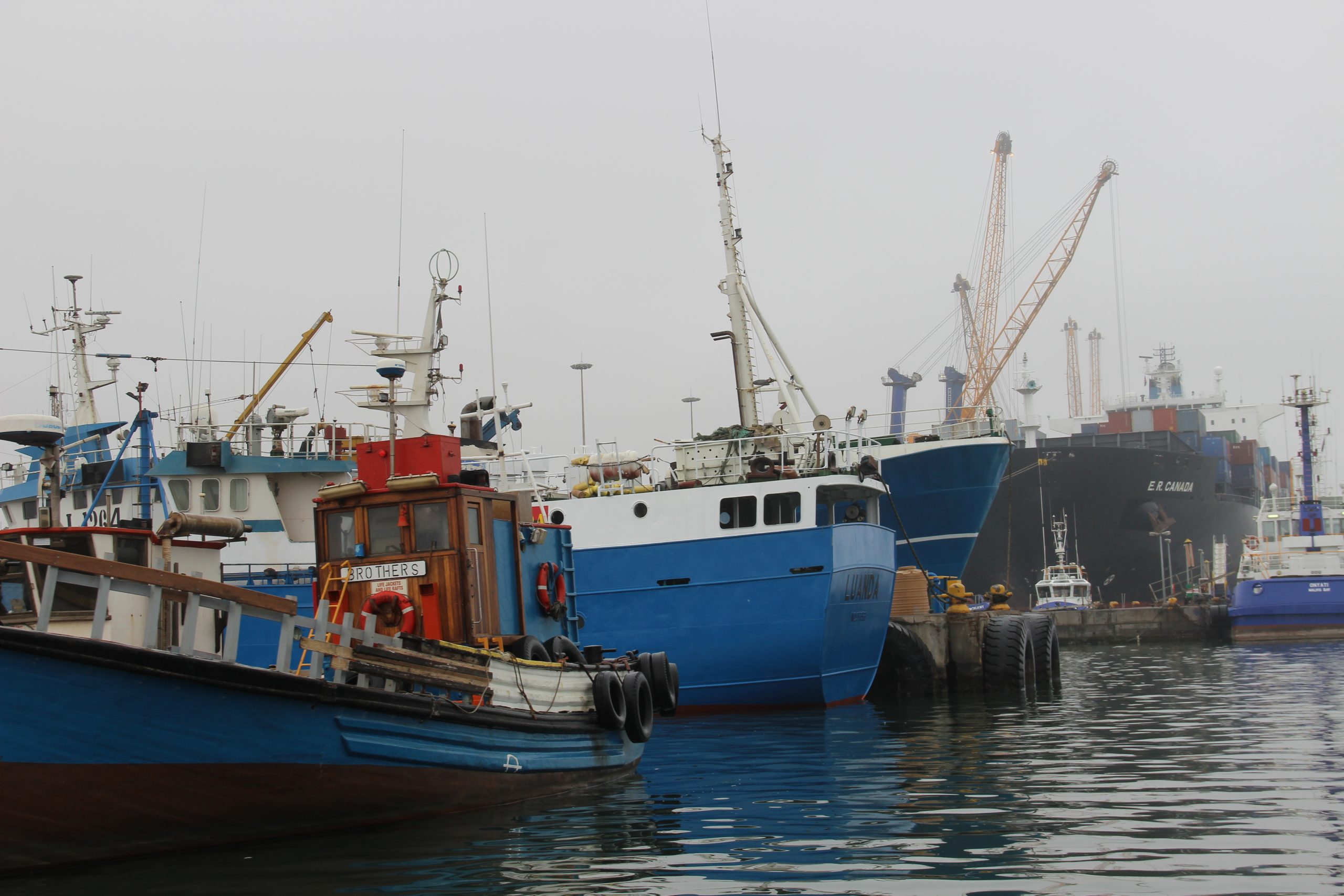 Strengthening the Fisheries through the Application of ERA (LMR/2016/01)