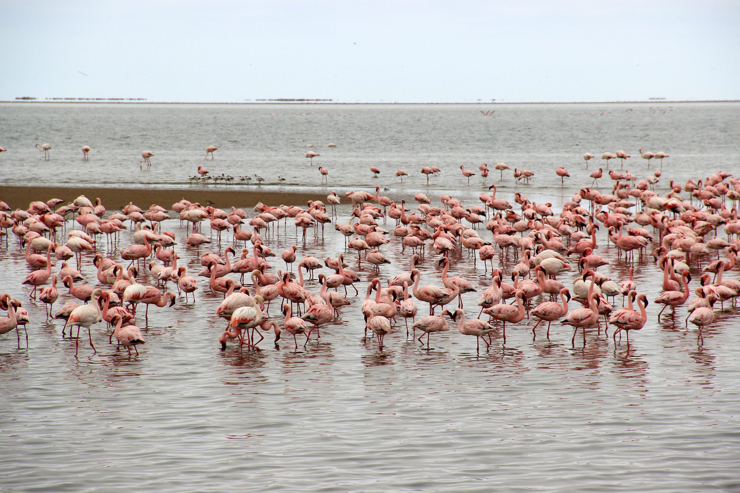 Strengthening Ability to Monitor Ecosystem Health (EHB/2016/02)